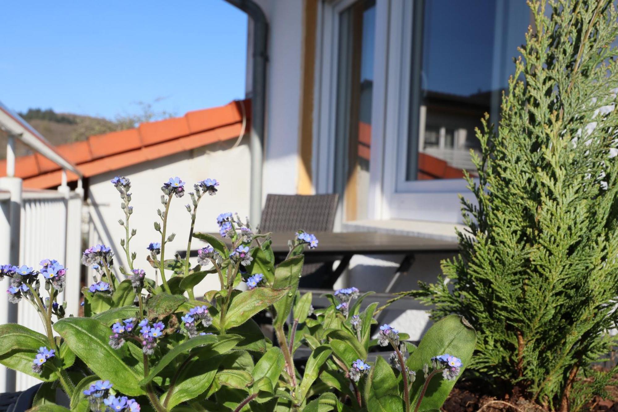 Apartment Wiesengrund Bad Endbach