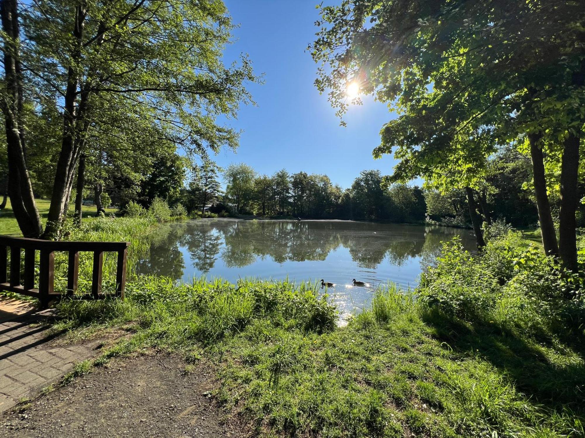 Wiesengrund * Bad Endbach